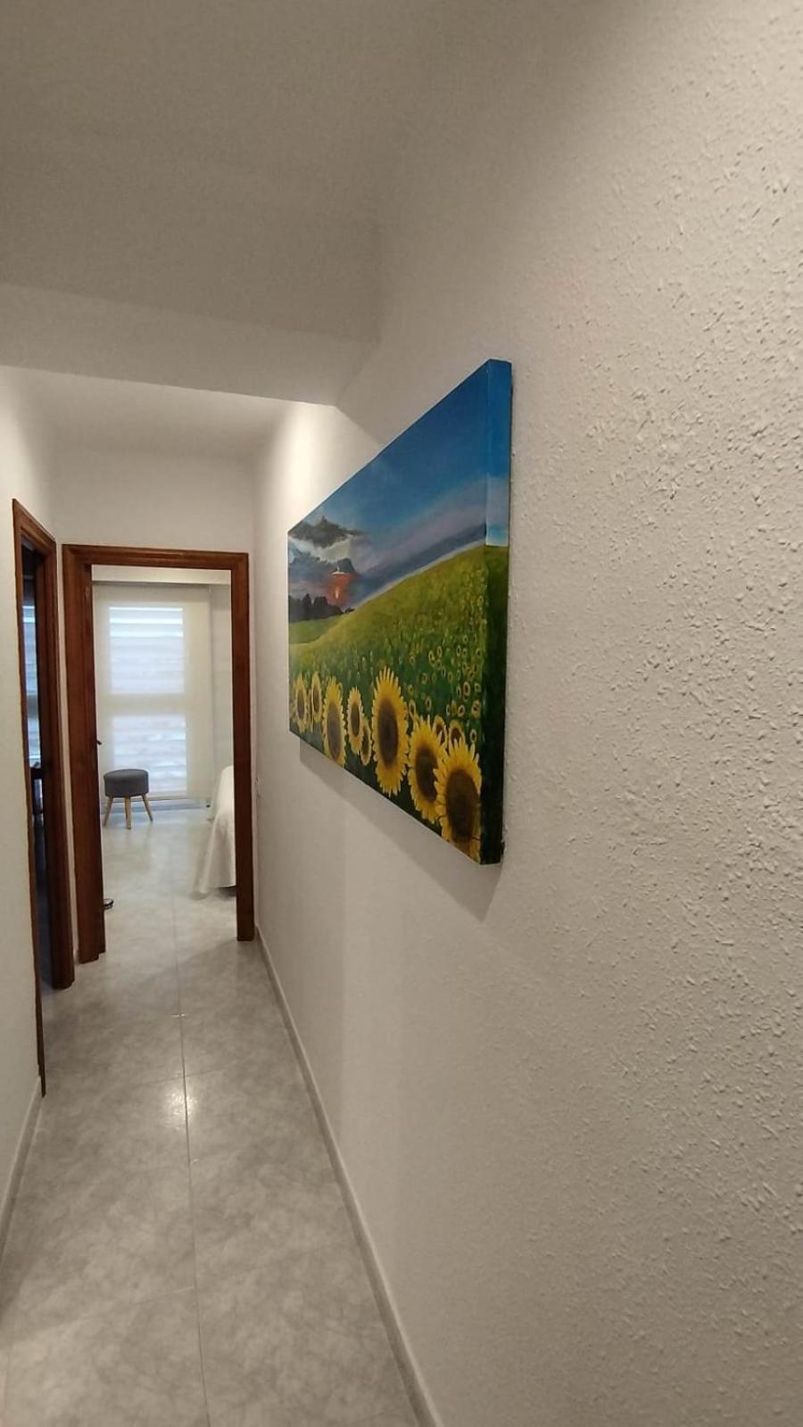 Apartament Jaume Ii *
